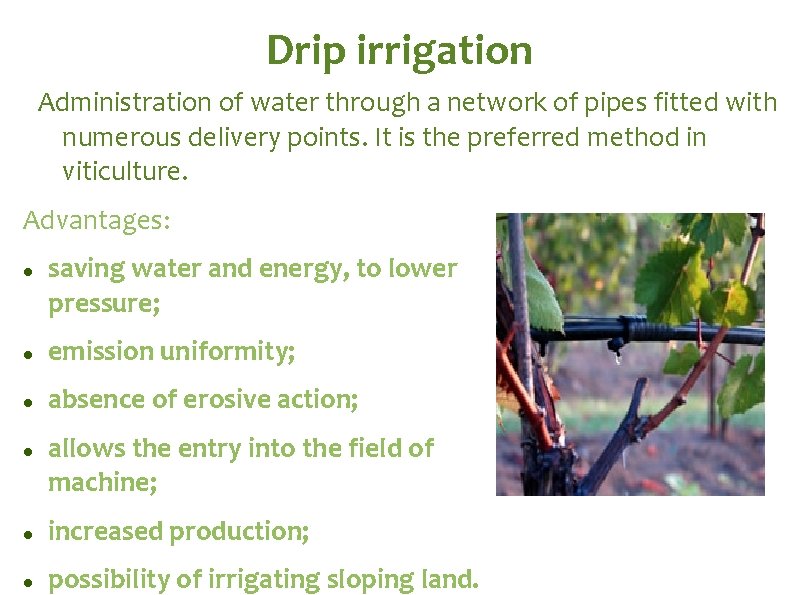 Drip irrigation Administration of water through a network of pipes fitted with numerous delivery