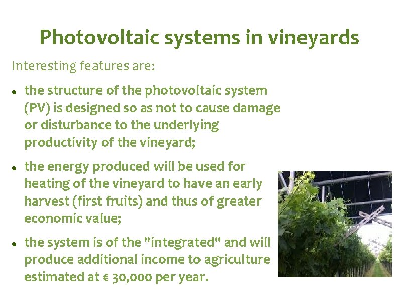 Photovoltaic systems in vineyards Interesting features are: the structure of the photovoltaic system (PV)