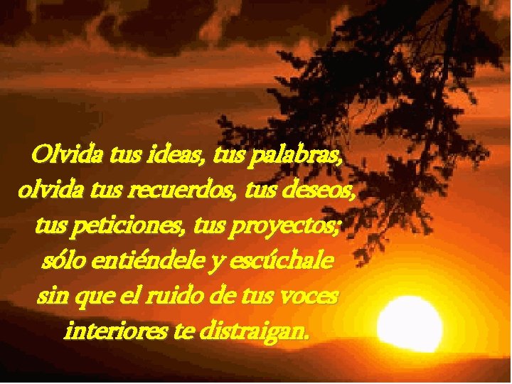 Olvida tus ideas, tus palabras, olvida tus recuerdos, tus deseos, tus peticiones, tus proyectos;