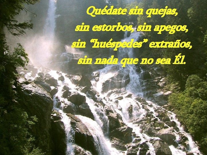 Quédate sin quejas, sin estorbos, sin apegos, sin “huéspedes” extraños, sin nada que no