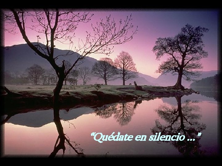 “Quédate en silencio. . . " 