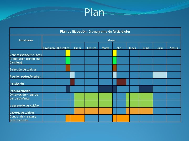 Plan de Ejecución: Cronograma de Actividades Meses Noviembre Diciembre Charlas extracurriculares Preparación del terreno