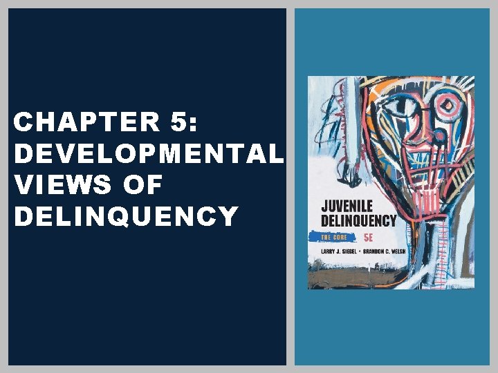 CHAPTER 5: DEVELOPMENTAL VIEWS OF DELINQUENCY 