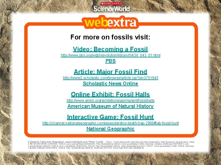 For more on fossils visit: Video: Becoming a Fossil http: //www. pbs. org/wgbh/evolution/library/04/3/l_043_01. html