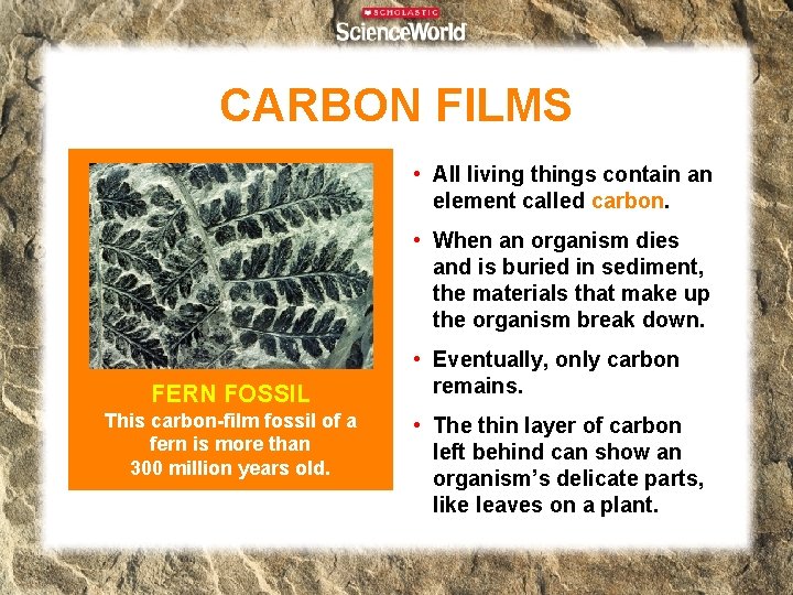 CARBON FILMS • All living things contain an element called carbon. • When an