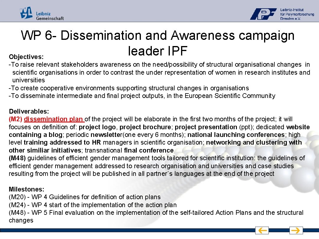 WP 6 - Dissemination and Awareness campaign leader IPF Objectives: -To raise relevant stakeholders