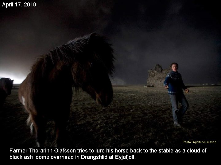 April 17, 2010 Photo: Ingolfur Juliusson Farmer Thorarinn Olafsson tries to lure his horse