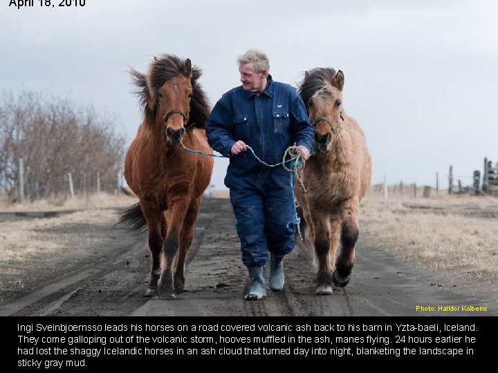 April 18, 2010 Photo: Halldor Kolbeins Ingi Sveinbjoernsso leads his horses on a road