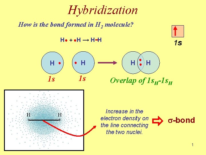 Hybridization How is the bond formed in H 2 molecule? H ● + ●H