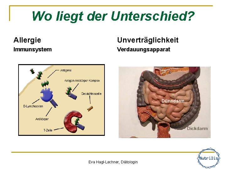 Wo liegt der Unterschied? Allergie Unverträglichkeit Immunsystem Verdauungsapparat Eva Hagl-Lechner, Diätologin 