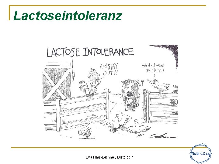 Lactoseintoleranz Eva Hagl-Lechner, Diätologin 