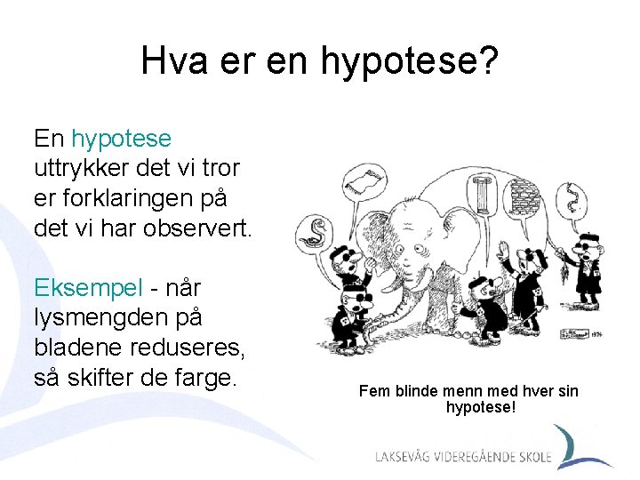 Hva er en hypotese? En hypotese uttrykker det vi tror er forklaringen på det
