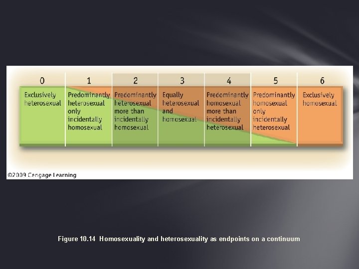 Figure 10. 14 Homosexuality and heterosexuality as endpoints on a continuum 