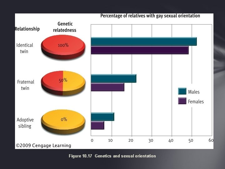 Figure 10. 17 Genetics and sexual orientation 