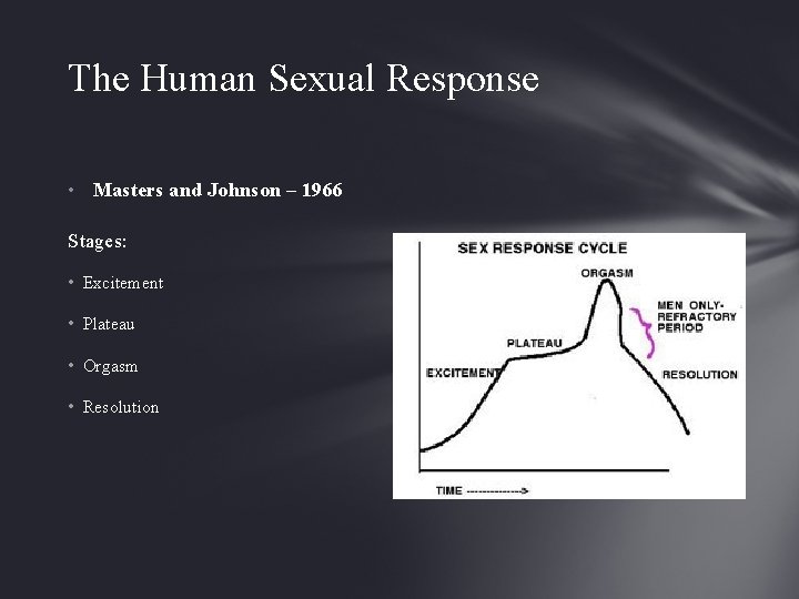 The Human Sexual Response • Masters and Johnson – 1966 Stages: • Excitement •