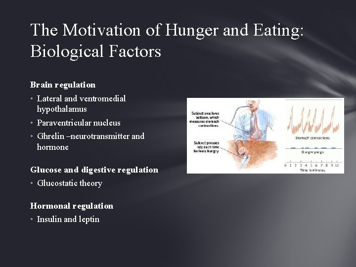 The Motivation of Hunger and Eating: Biological Factors Brain regulation • Lateral and ventromedial