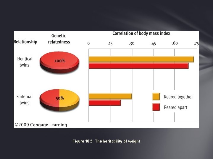Figure 10. 5 The heritability of weight 