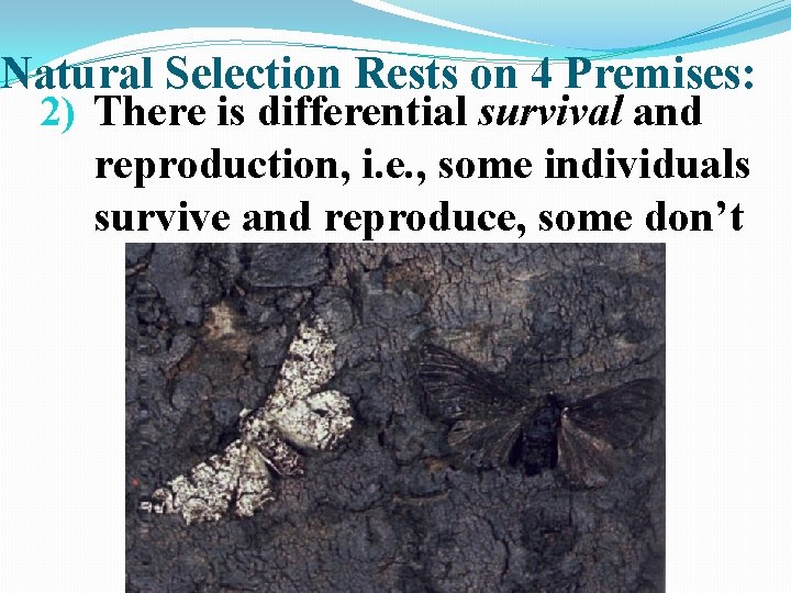 Natural Selection Rests on 4 Premises: 2) There is differential survival and reproduction, i.