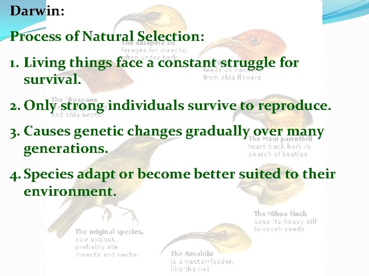 Darwin: Process of Natural Selection: 1. Living things face a constant struggle for survival.