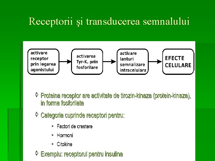 Receptorii şi transducerea semnalului 