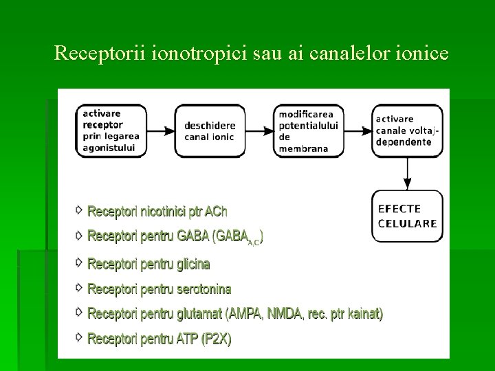 Receptorii ionotropici sau ai canalelor ionice 