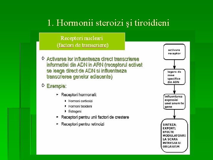 1. Hormonii steroizi şi tiroidieni 