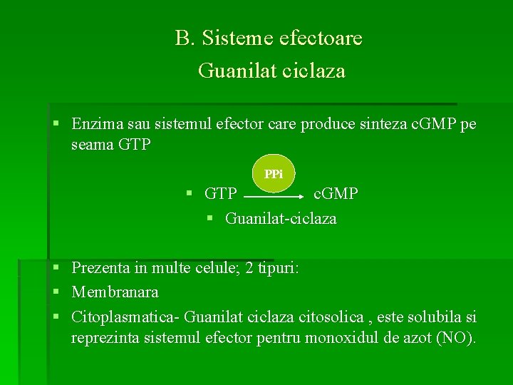 B. Sisteme efectoare Guanilat ciclaza § Enzima sau sistemul efector care produce sinteza c.