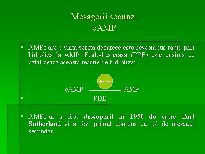 Mesagerii secunzi c. AMP § AMPc are o viata scurta deoarece este descompus rapid