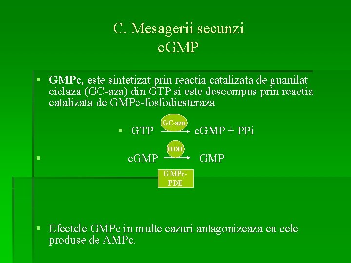 C. Mesagerii secunzi c. GMP § GMPc, este sintetizat prin reactia catalizata de guanilat