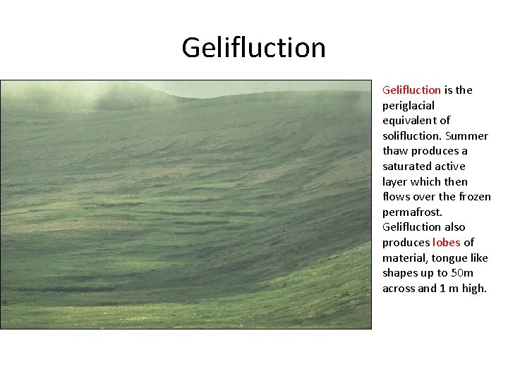 Gelifluction is the periglacial equivalent of solifluction. Summer thaw produces a saturated active layer