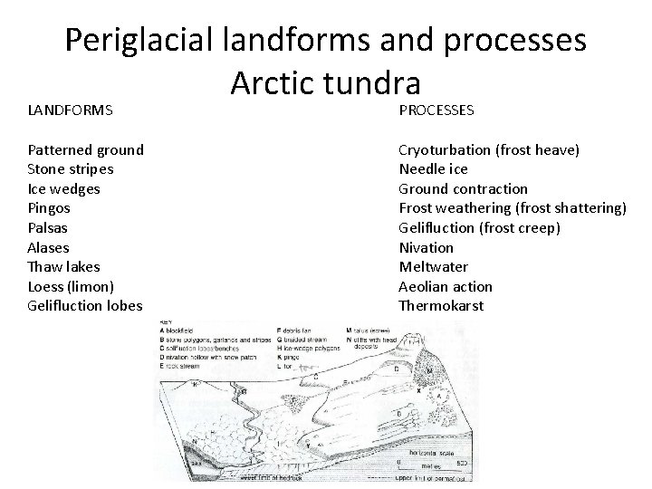 Periglacial landforms and processes Arctic tundra LANDFORMS PROCESSES Patterned ground Stone stripes Ice wedges