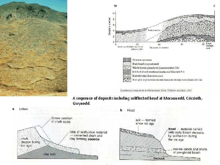 A sequence of deposits including soliflucted head at Morannedd, Criccieth, Gwynedd. 