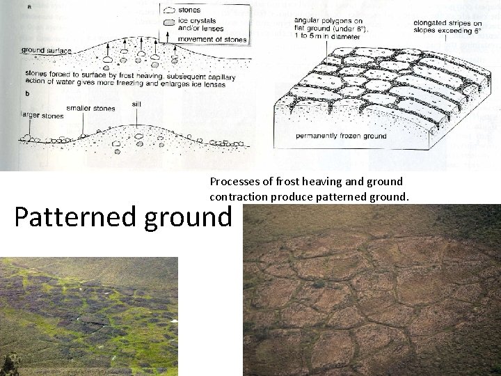 Processes of frost heaving and ground contraction produce patterned ground. Patterned ground 