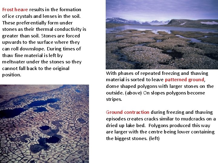 Frost heave results in the formation of ice crystals and lenses in the soil.