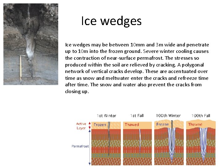 Ice wedges may be between 10 mm and 3 m wide and penetrate up