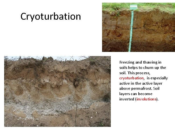 Cryoturbation Freezing and thawing in soils helps to churn up the soil. This process,