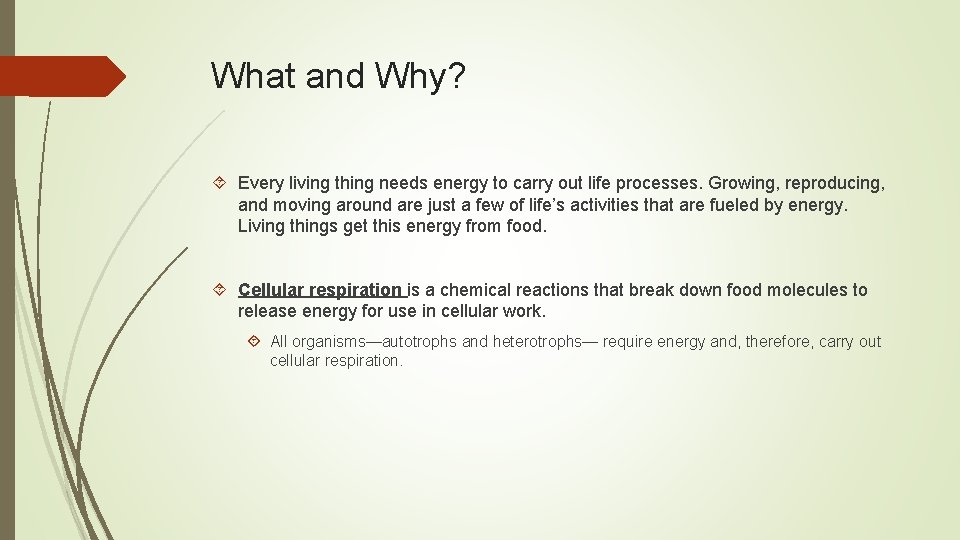 What and Why? Every living thing needs energy to carry out life processes. Growing,