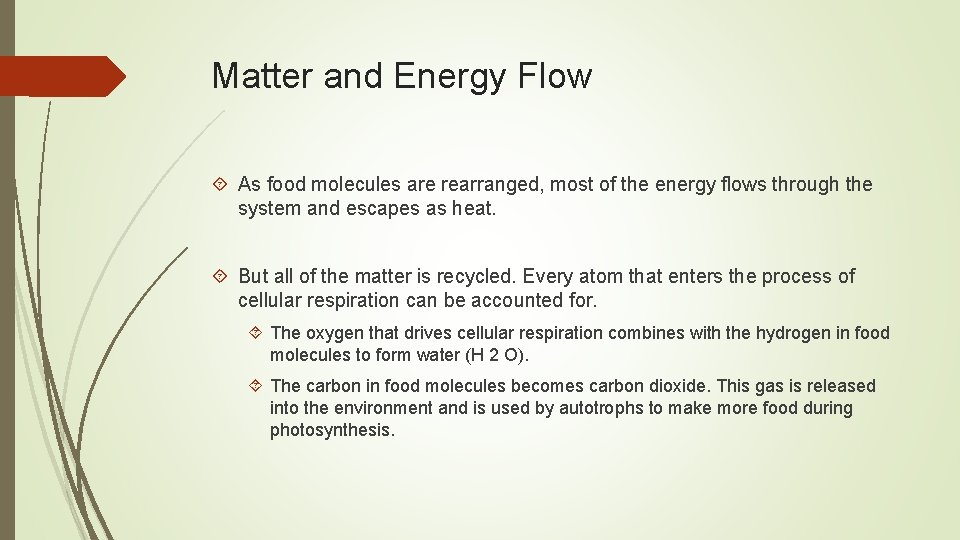 Matter and Energy Flow As food molecules are rearranged, most of the energy flows