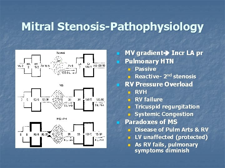 Mitral Stenosis-Pathophysiology n n MV gradient Incr LA pr Pulmonary HTN n n n