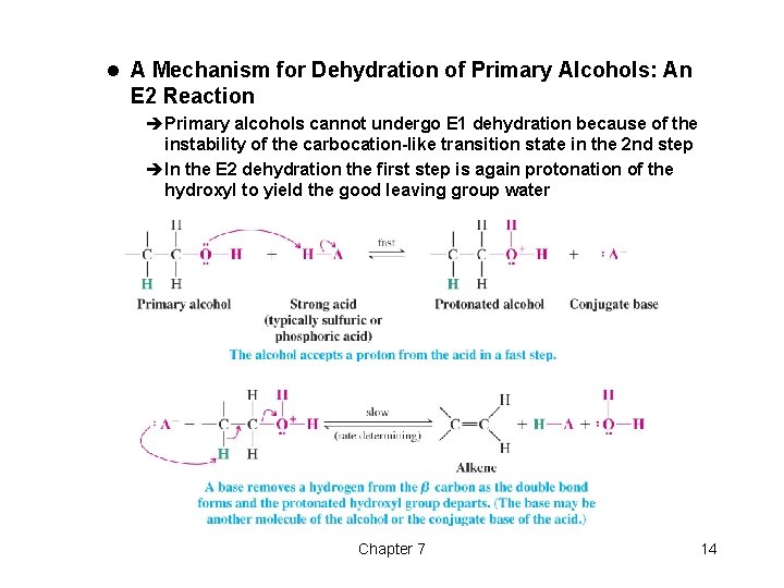 l A Mechanism for Dehydration of Primary Alcohols: An E 2 Reaction èPrimary alcohols l A Mechanism for Dehydration of Primary Alcohols: An E 2 Reaction èPrimary alcohols