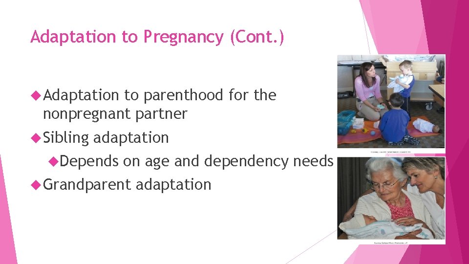 Adaptation to Pregnancy (Cont. ) Adaptation to parenthood for the nonpregnant partner Sibling adaptation