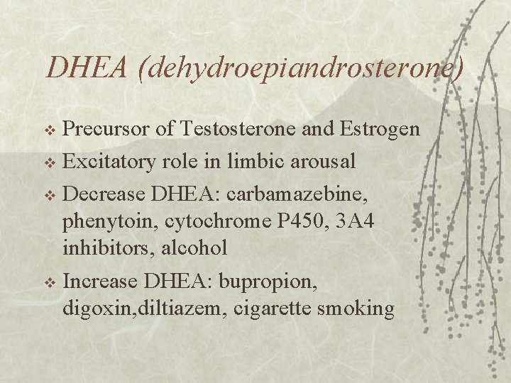 DHEA (dehydroepiandrosterone) Precursor of Testosterone and Estrogen v Excitatory role in limbic arousal v