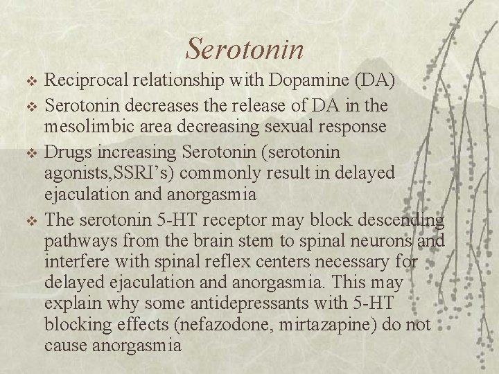 Serotonin v v Reciprocal relationship with Dopamine (DA) Serotonin decreases the release of DA