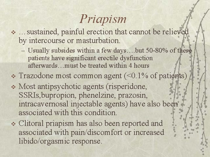 Priapism v …sustained, painful erection that cannot be relieved by intercourse or masturbation. –