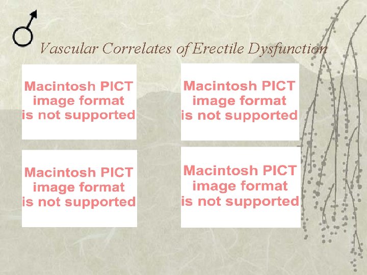 Vascular Correlates of Erectile Dysfunction 