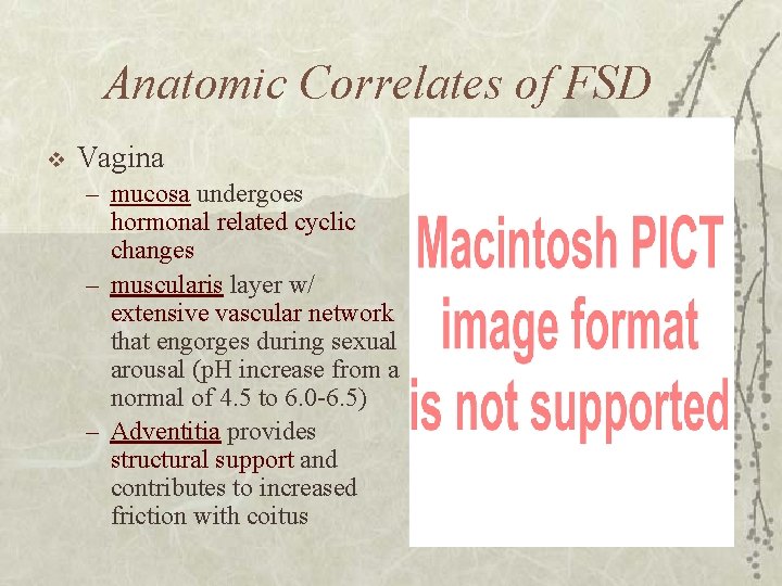 Anatomic Correlates of FSD v Vagina – mucosa undergoes hormonal related cyclic changes –