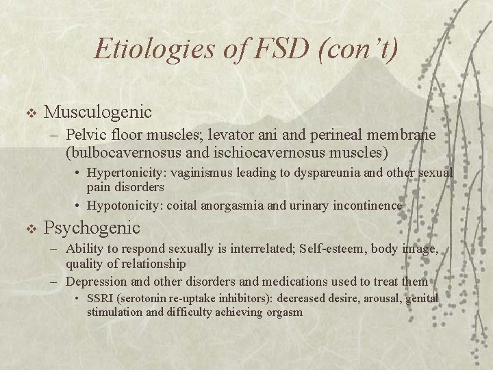Etiologies of FSD (con’t) v Musculogenic – Pelvic floor muscles; levator ani and perineal