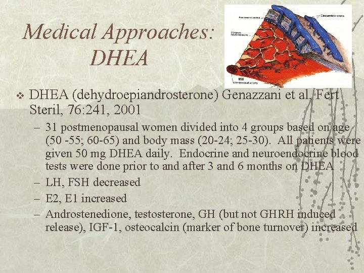 Medical Approaches: DHEA v DHEA (dehydroepiandrosterone) Genazzani et al, Fert Steril, 76: 241, 2001