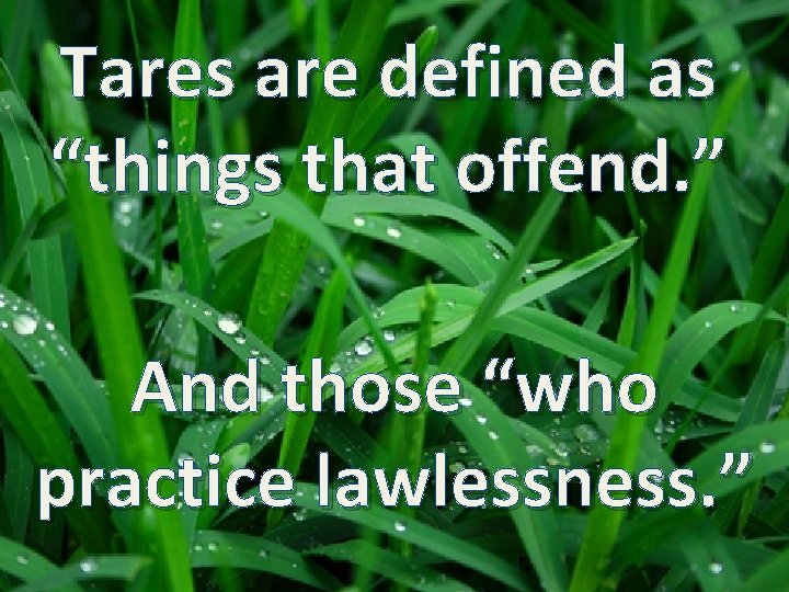 Tares are defined as “things that offend. ” And those “who practice lawlessness. ”