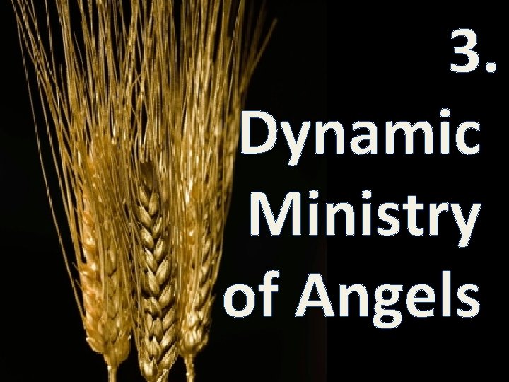 3. Dynamic Ministry of Angels 